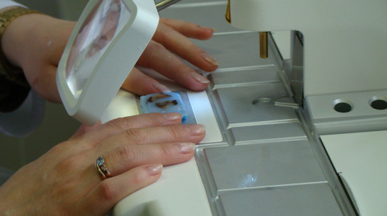 «Оформляют в тот же день». Как воронежцы получают высокотехнологичную медпомощь 