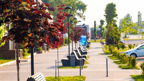 Более 72 тыс воронежцев поучаствовали в онлайн-голосовании за объекты благоустройства