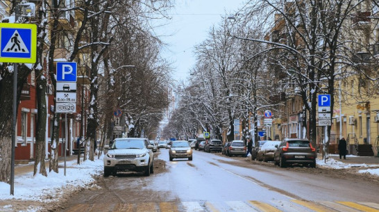 Рабочая неделя в Воронежской области начнется с потепления до +3 градусов