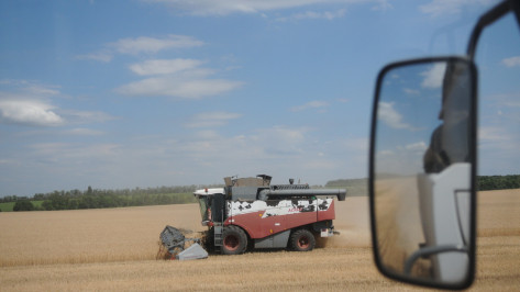 В Кантемировском районе 6 хозяйств завершили уборку озимой пшеницы