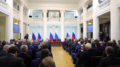 Владимир Нетесов представил Воронежскую область на встрече президента с законодателями