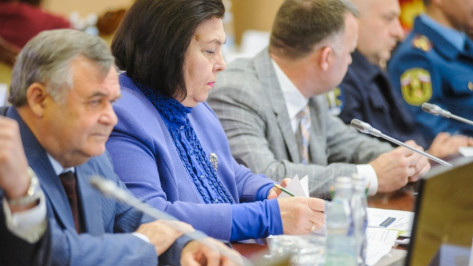 Воронежскому губернатору представили стратегию защиты прав человека на 2018 год