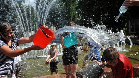 В Воронеже на неделю установится аномальная жара