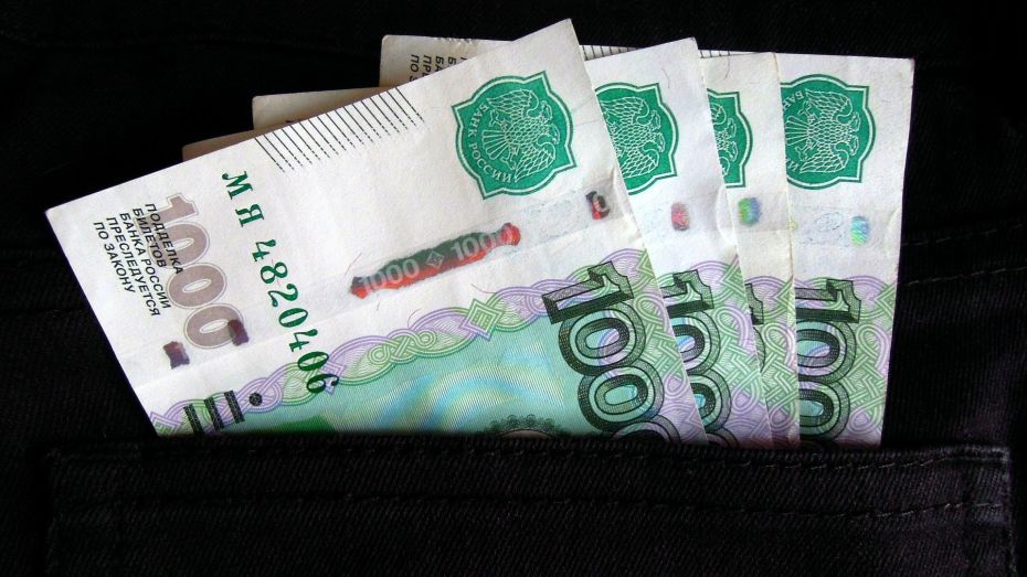 Средняя зарплата на воронежских предприятиях в ноябре превысила 41 тыс рублей