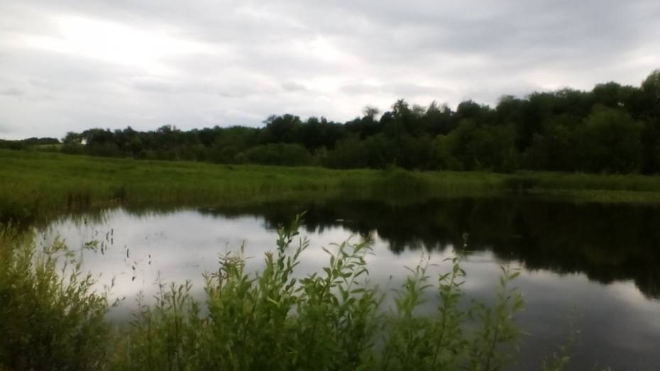 В Воронежской области в пруду утонул 29-летний парень