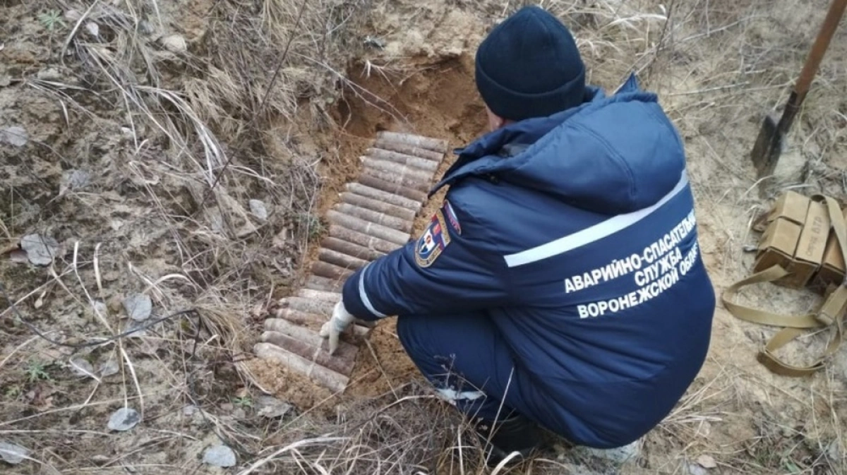 Погода в александровке донской павловского. Александровка Донская Павловский район. Александровка Донская Павловский район Воронежская область. Воронежская обл Павловский район село Александровка.