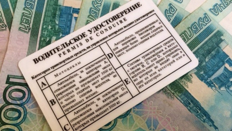 В Воронежской области попался водитель с самодельными правами
