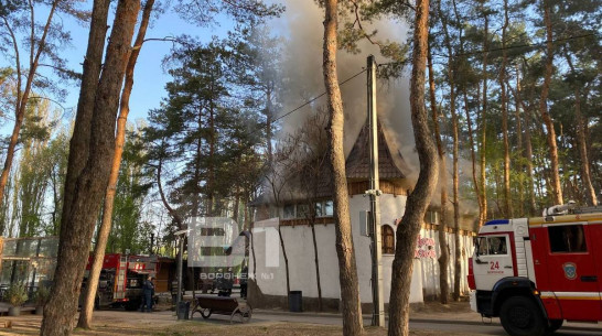 Воронежцы сняли на видео пожар в «Доме сказок» в парке «Дельфин»