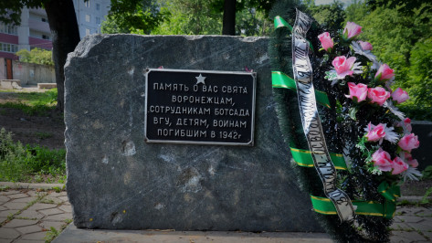 Проект РИА «Воронеж». Где этот памятник? «Утерянная» скульптура в Ботаническом саду
