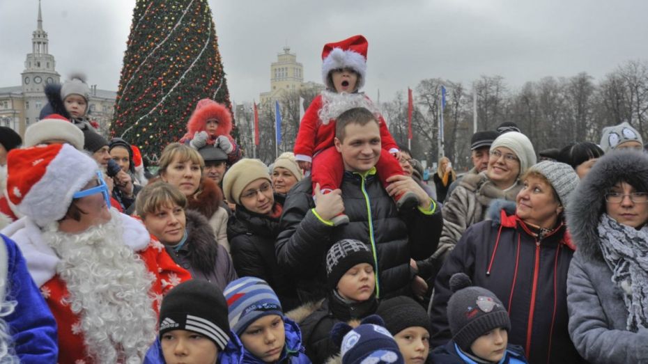 Воронеж вошел в топ-20 городов России для новогодних поездок