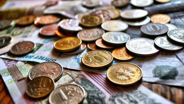 Прожиточный минимум в Воронежской области вырос на 411 рублей