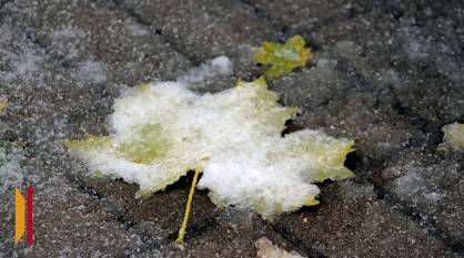 Стало известно, придет ли в Воронеж снежный циклон из Москвы