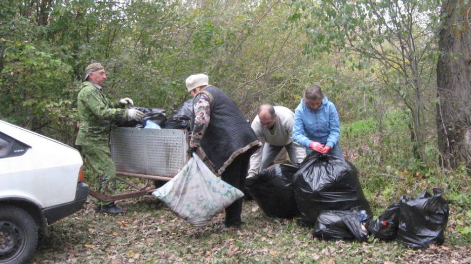 Верхнемамонцы очистили берег Дона от мусора в 4 селах района