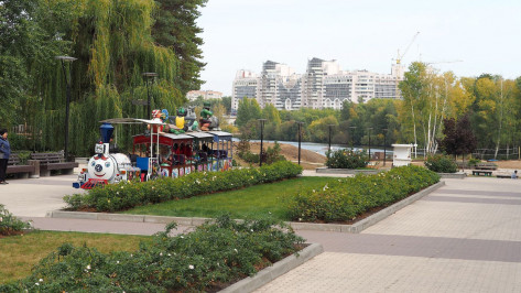 В Воронеже по нацпроекту благоустроят 2 парка и сквер