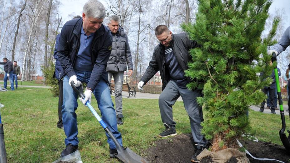 Александр Гусев высадил деревья в парке Дворца Ольденбургских под Воронежем