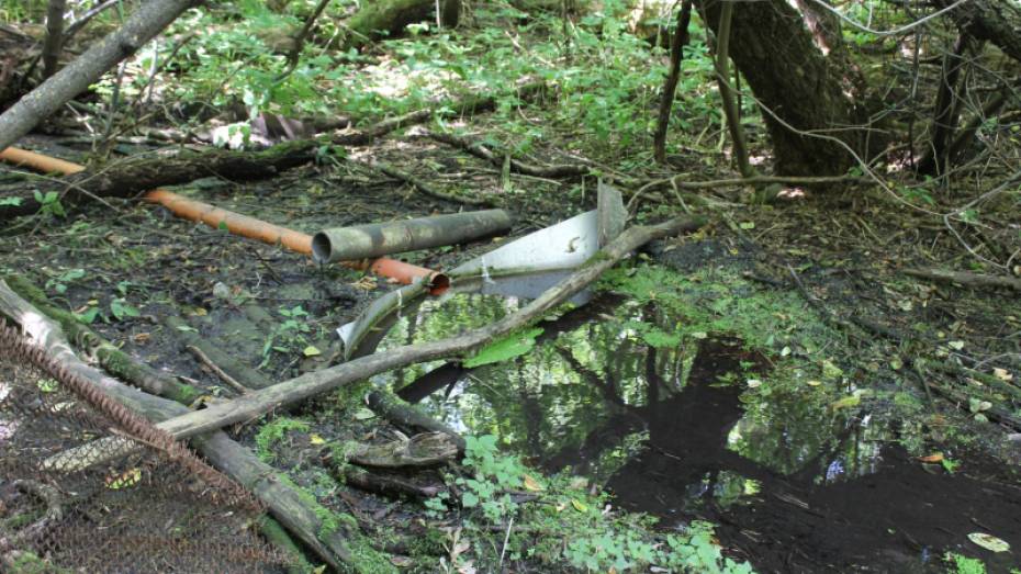 Русло реки под Воронежем забили строительным мусором, чтобы запитать пруд