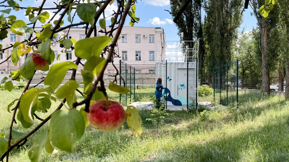 В Воронеже установили 4 поста мониторинга воздуха