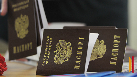 В Воронежской области мужчину лишили гражданства РФ за помощь нелегальным мигрантам