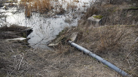 Воронежский департамент экологии нашел нарушения в работе отрадненских очистных сооружений