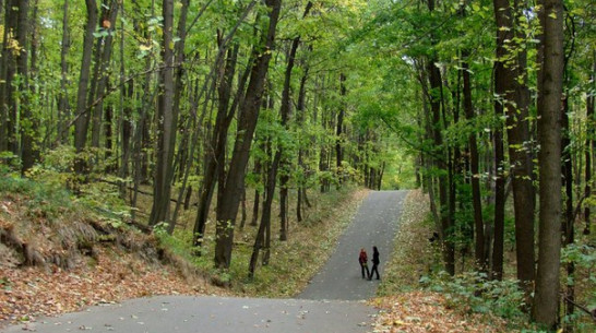 Финал всероссийского конкурса «Маршрут года-2016» проведут в Воронеже
