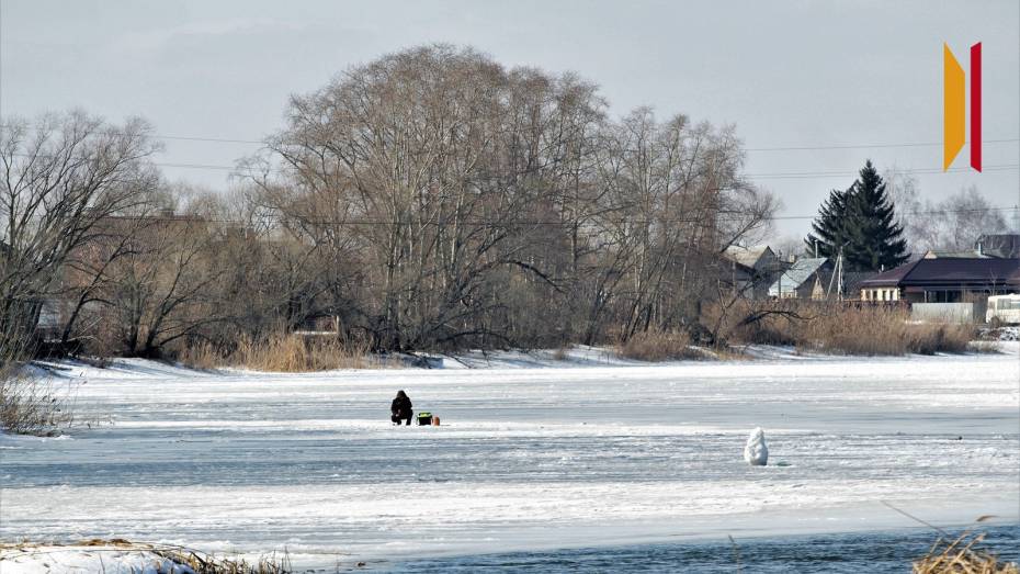 Морозная и снежная рабочая неделя ожидает воронежцев