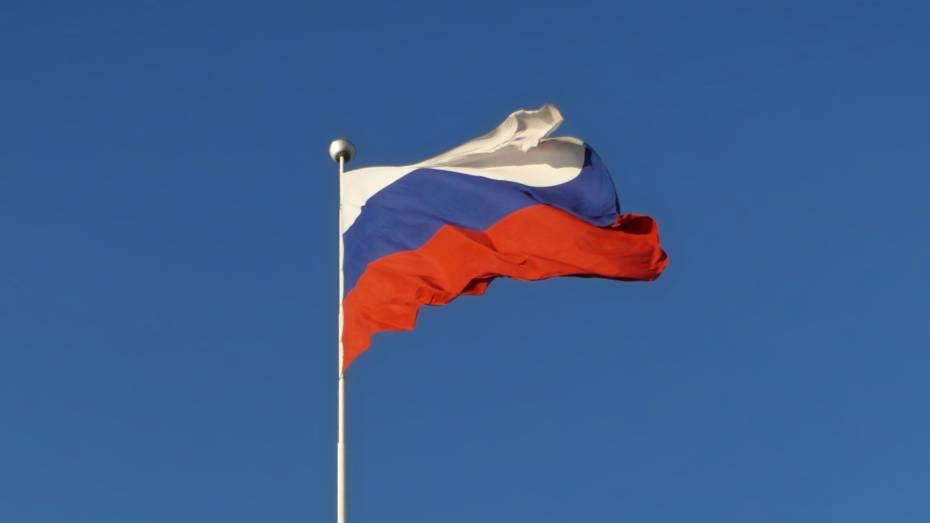 Все воронежские детсады и вузы будут обязаны вывешивать флаг России