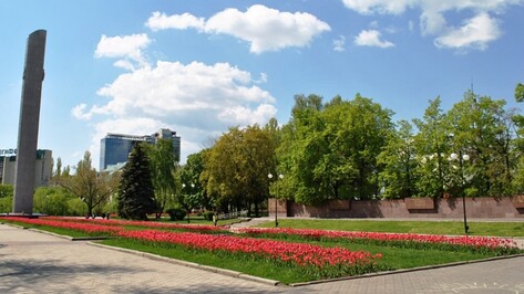 В Воронеже у мемориалов высадят более 77 тыс тюльпанов 