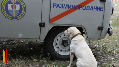 Воронежцы сообщили о снаряде на пляже в Репном