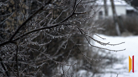 На рабочей неделе воронежцев после сильных морозов ждет оттепель