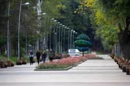 В парках Воронежа поставят новые аттракционы