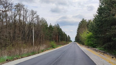 В Лискинском и Бобровском районах Воронежской области отремонтировали дорогу протяженностью более 7,5 км