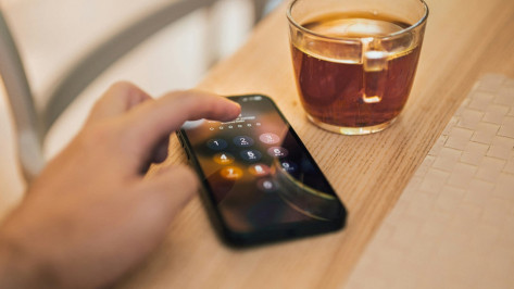 В Воронеже девушка потеряла из-за виртуального знакомства 410 тыс рублей