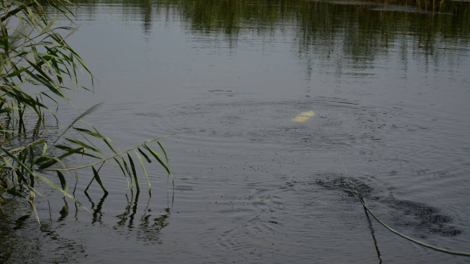 В реке Потудань у острогожского села Солдатское утонул 48-летний воронежец