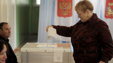Половина воронежцев признали свободу и честность выборов в России