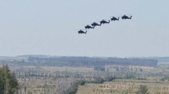 Под Воронежем участники «Авиадартса-2014» помогли МЧС потушить лесной пожар 