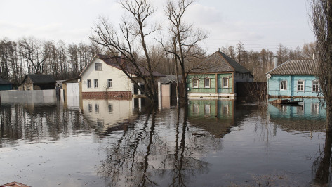 Низководные мосты начало затапливать в Воронежской области из-за паводка
