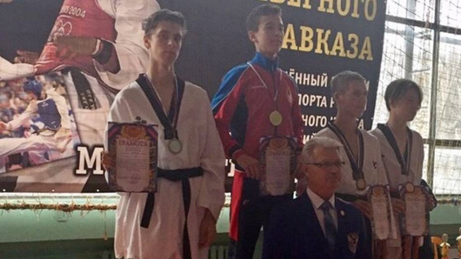 Бобровские тхэквондисты выиграли «серебро» и «бронзу» на всероссийском турнире