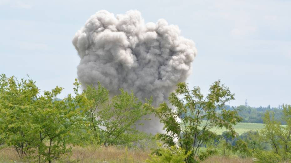 В Богучарском районе уничтожили 116 боеприпасов времен войны