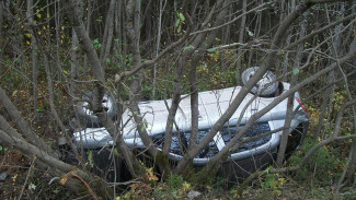 При опрокидывании «Калины» в Воронежской области погибла женщина и пострадал мужчина