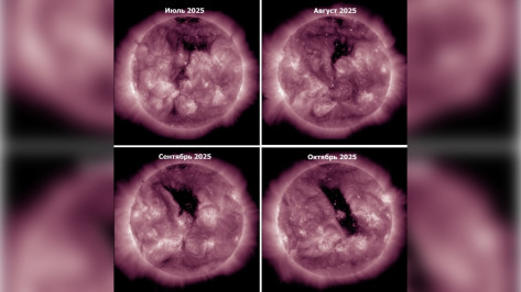 Воронежцев предупредили о слабых возмущениях в магнитосфере на выходных