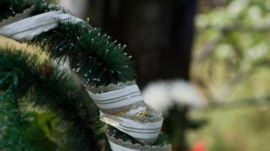 В России предложили повторно использовать могилы 