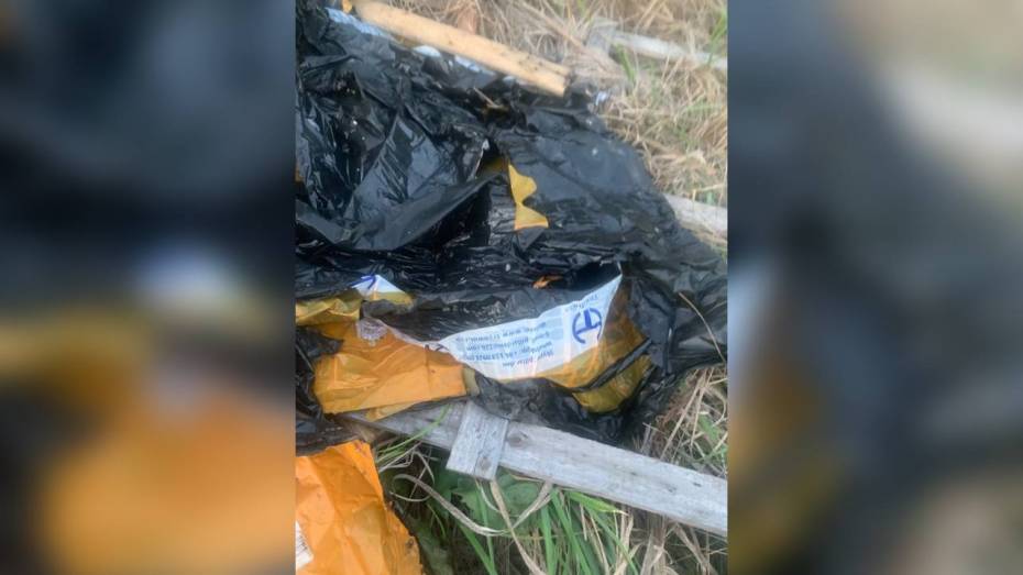 Жителей воронежского микрорайона Нефтебаза встревожили останки животных на поле
