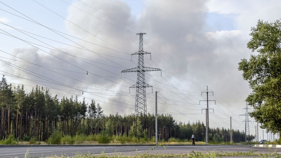 В Лискинском районе масштабный пожар вплотную подошел к птичнику
