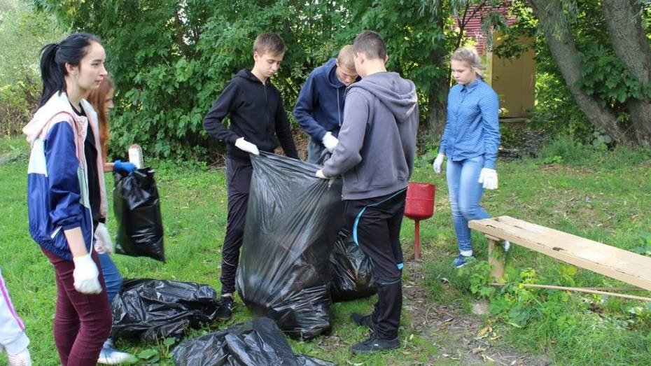 В Бобровском районе волонтеры убрали 6 городских пляжей