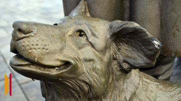 В Воронежской области нашли вандалов, которые испортили обновленный парк «Сердце Калача»