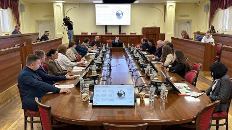 В Воронеже обсудили развитие альтернативной и интеллектуальной энергетики