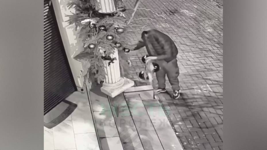 Воронеж продолжает страдать от «Гринчей»: неизвестный сорвал новогодние игрушки с фасада магазина