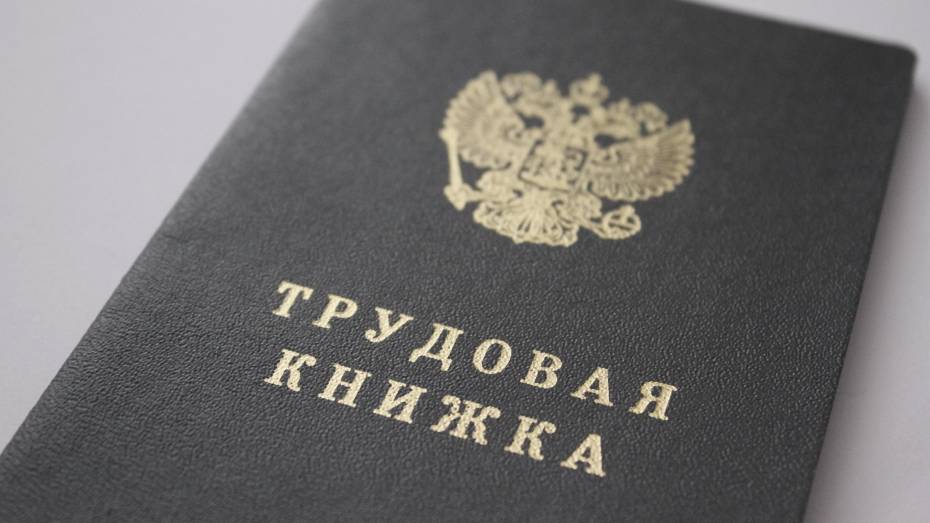 Электронную трудовую книжку оформили более 137 тыс жителей Воронежской области