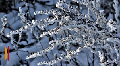 В Воронежской области зима завершится 12-градусным морозом