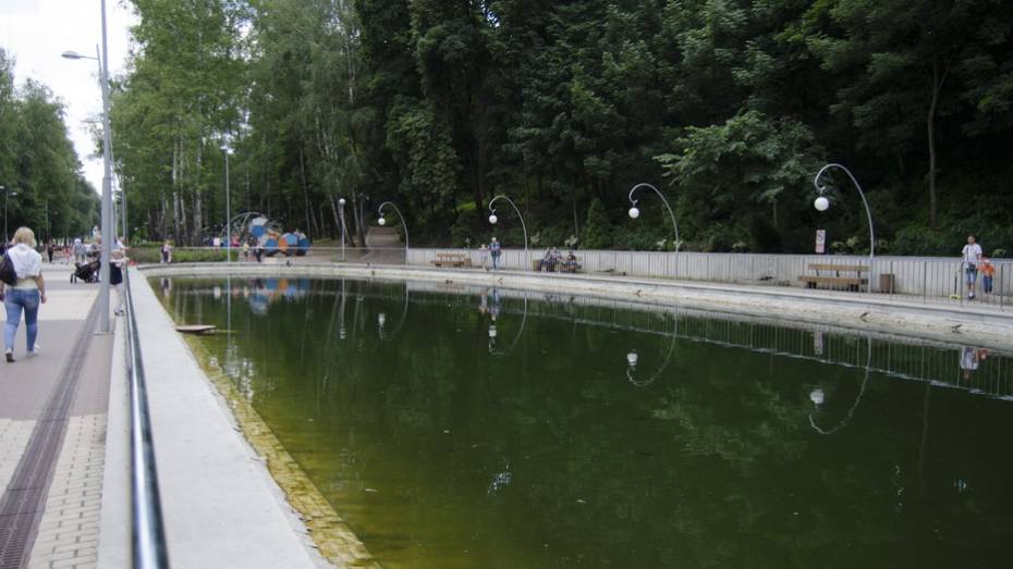 Ученые Воронежского опорного университета очистят водоемы Центрального парка 